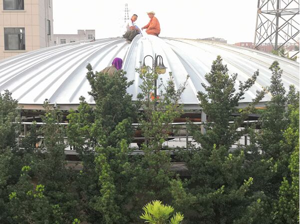 ������ˮ���w��